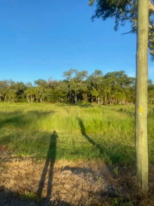 LOT 59 Moonlight Drive, Sarina QLD 4737