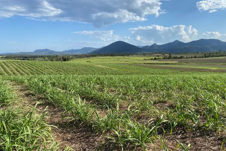 Main view of Homely rural property listing, Lot 21 241 Wintons Road, Yalboroo QLD 4741