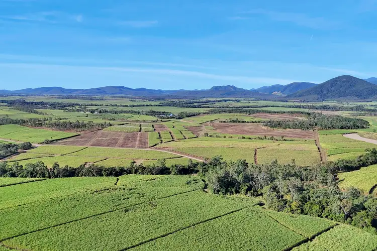 Lot 21 241 Wintons Road, Yalboroo QLD 4741
