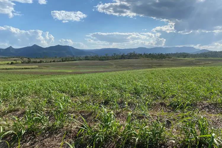 Fourth view of Homely rural property listing, Lot 21 241 Wintons Road, Yalboroo QLD 4741