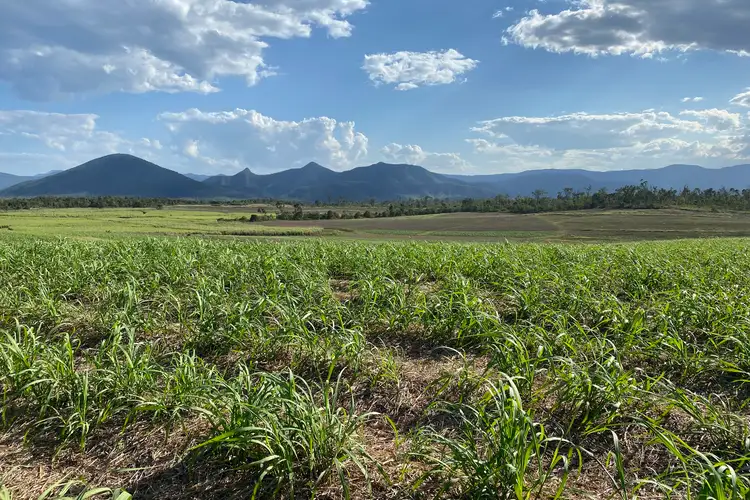 Fifth view of Homely rural property listing, Lot 21 241 Wintons Road, Yalboroo QLD 4741