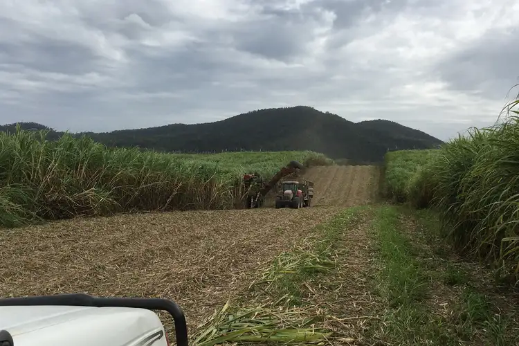Sixth view of Homely rural property listing, Lot 21 241 Wintons Road, Yalboroo QLD 4741