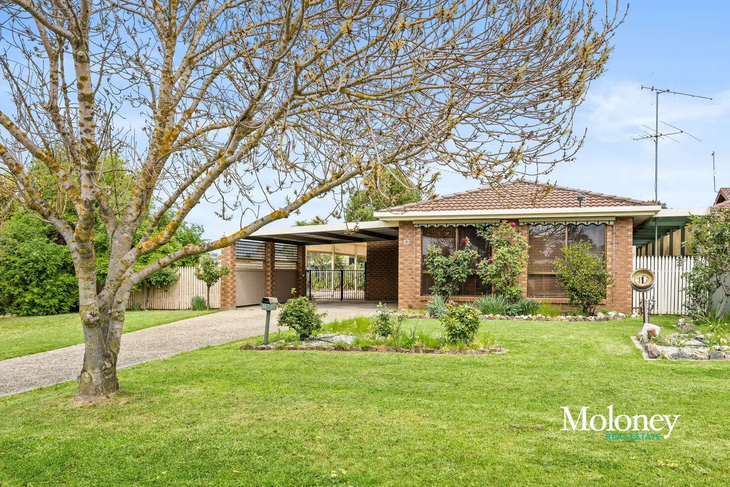 Main view of Homely house listing, 82 Ready Street, Rutherglen VIC 3685