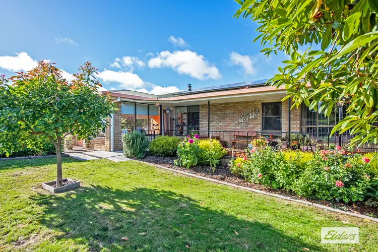 1091 Murchison Highway, Elliott TAS 7325