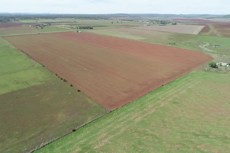 Third view of Homely rural property listing, Oakey Pittsworth Road, Aubigny QLD 4401
