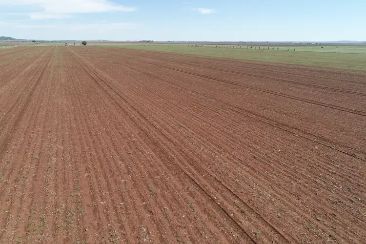 Seventh view of Homely rural property listing, Oakey Pittsworth Road, Aubigny QLD 4401