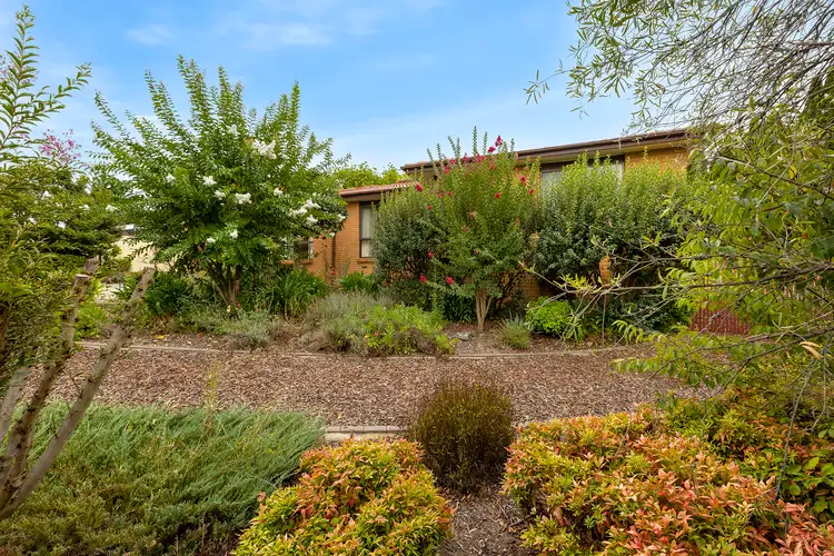 253 Sternberg Crescent, Wanniassa ACT 2903