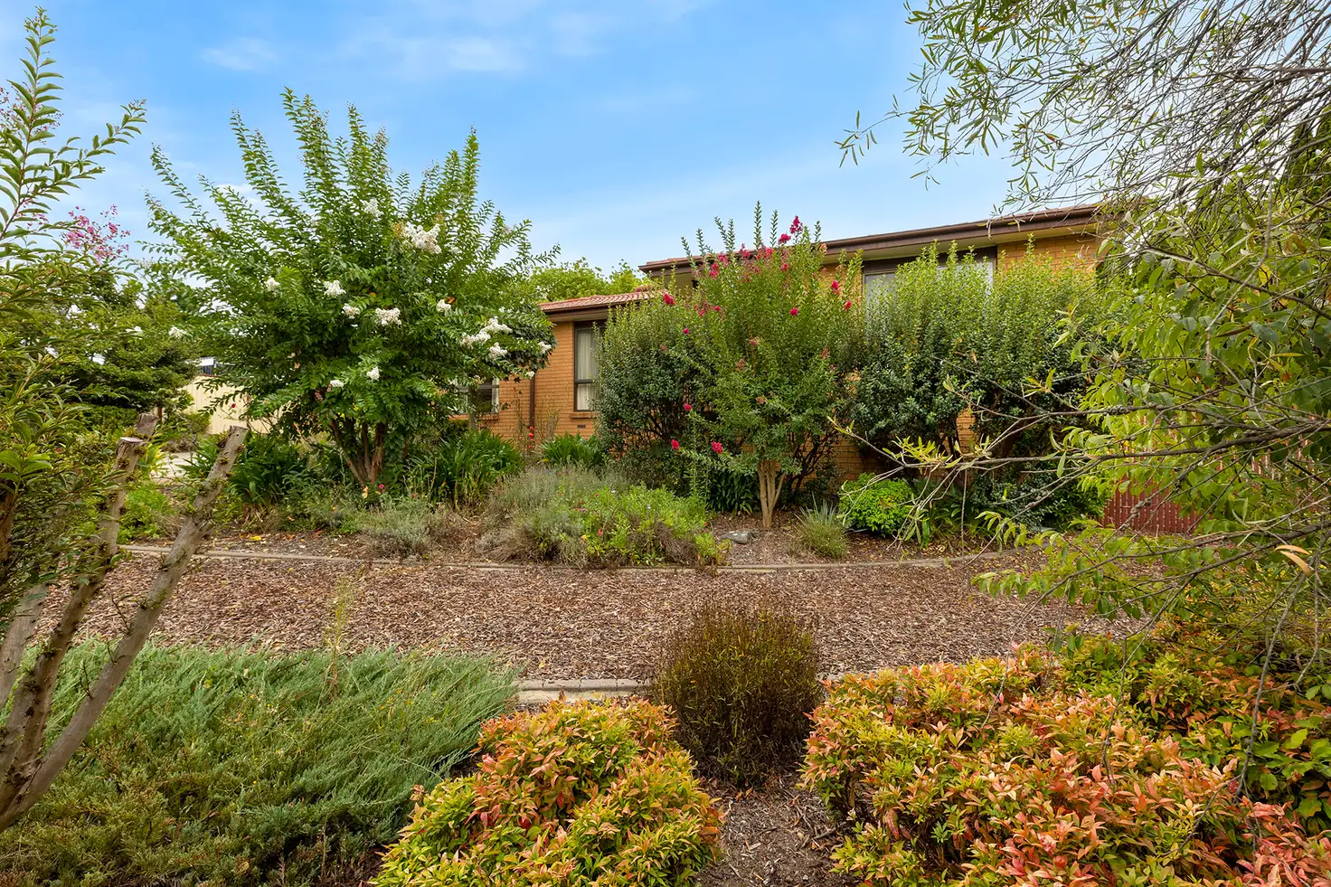 Main view of Homely house listing, 253 Sternberg Crescent, Wanniassa ACT 2903