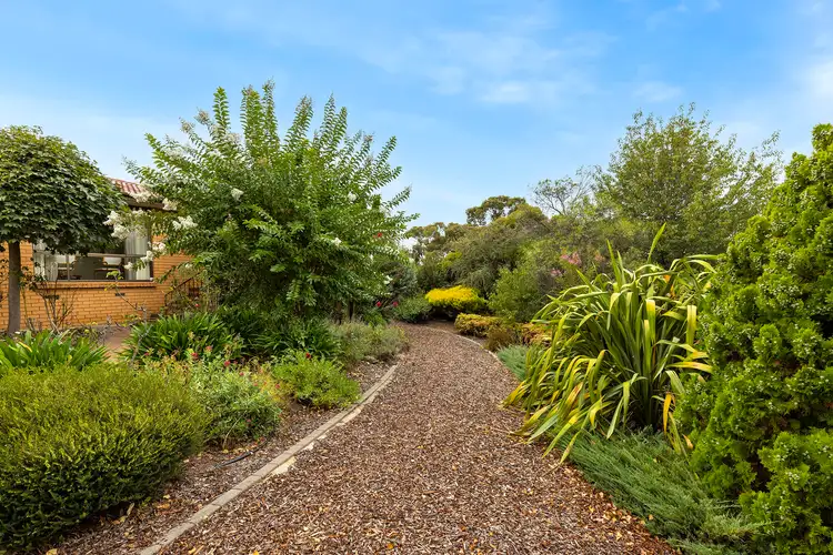 Fifth view of Homely house listing, 253 Sternberg Crescent, Wanniassa ACT 2903