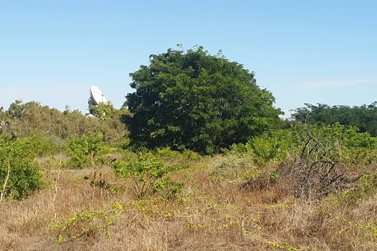 Seventh view of Homely rural property listing, 590 Robinson Street, Carnarvon WA 6701