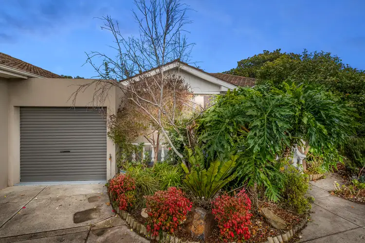 6/13 Golden Avenue, Chelsea VIC 3196
