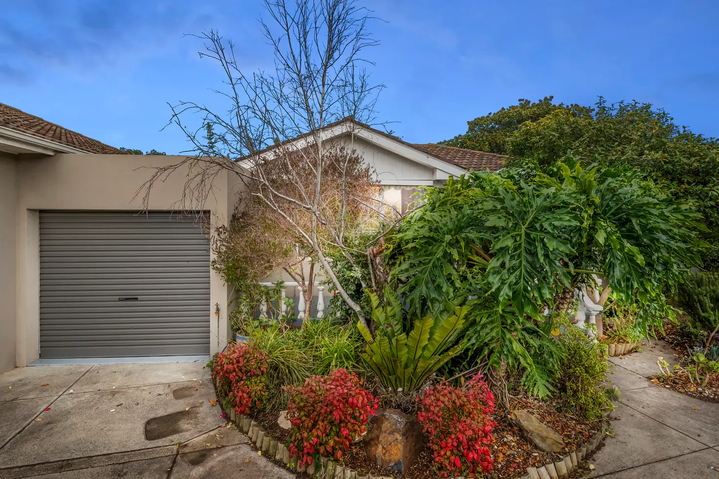 Main view of Homely unit listing, 6/13 Golden Avenue, Chelsea VIC 3196