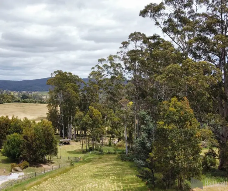 Fifth view of Homely land listing, 280A Kelcey Tier Road, Spreyton TAS 7310