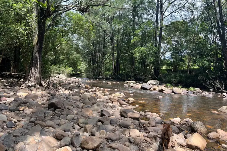 Third view of Homely rural property listing, 29 Priddles Lane, Wattamolla NSW 2535