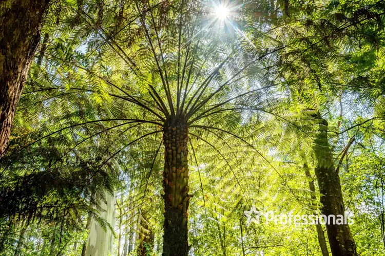 Sixth view of Homely land listing, 370 Old Warburton Road, Warburton VIC 3799