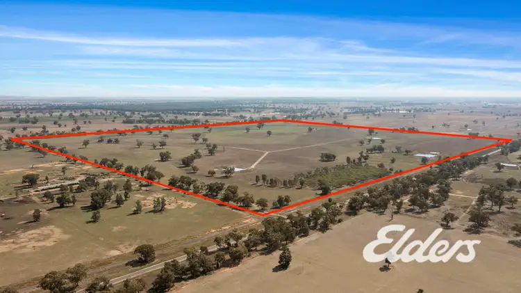 Savernake Road, Mulwala NSW 2647