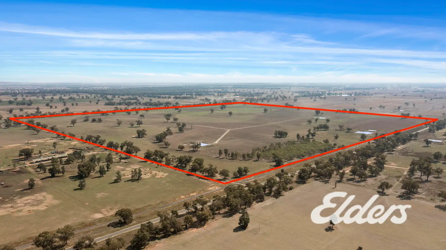 Main view of Homely rural property listing, Savernake Road, Mulwala NSW 2647