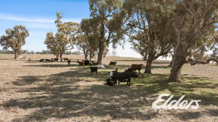 Third view of Homely rural property listing, Savernake Road, Mulwala NSW 2647