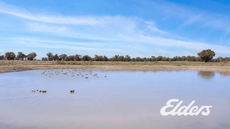 Fifth view of Homely rural property listing, Savernake Road, Mulwala NSW 2647
