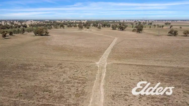 Seventh view of Homely rural property listing, Savernake Road, Mulwala NSW 2647
