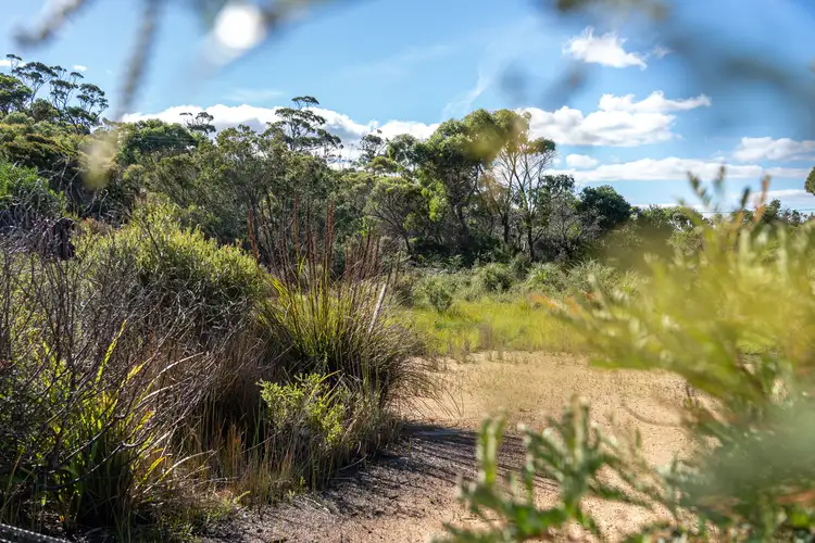 Fifth view of Homely land listing, 3/1 Vince Lane, Binalong Bay TAS 7216