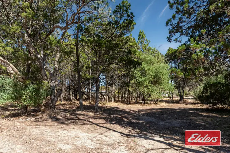 Fifth view of Homely house listing, 67 Queen Street, Williamstown SA 5351