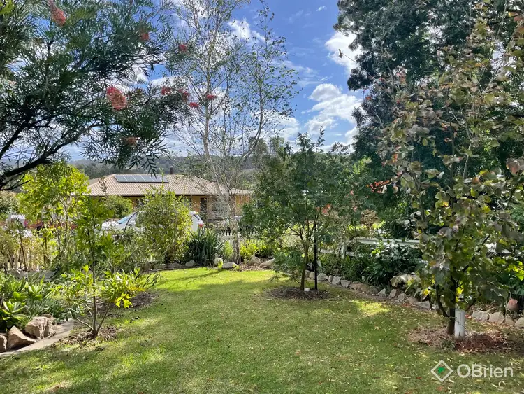 Third view of Homely house listing, 6 Besley Street, Bruthen VIC 3885