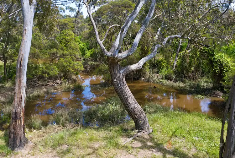 Second view of Homely land listing, 145 Dunnetts Road, Yan Yean VIC 3755