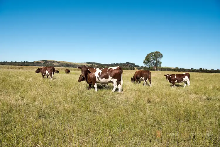 Fifth view of Homely land listing, 145 Dunnetts Road, Yan Yean VIC 3755
