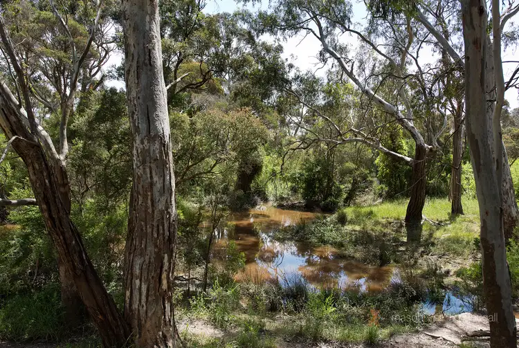 Seventh view of Homely land listing, 145 Dunnetts Road, Yan Yean VIC 3755