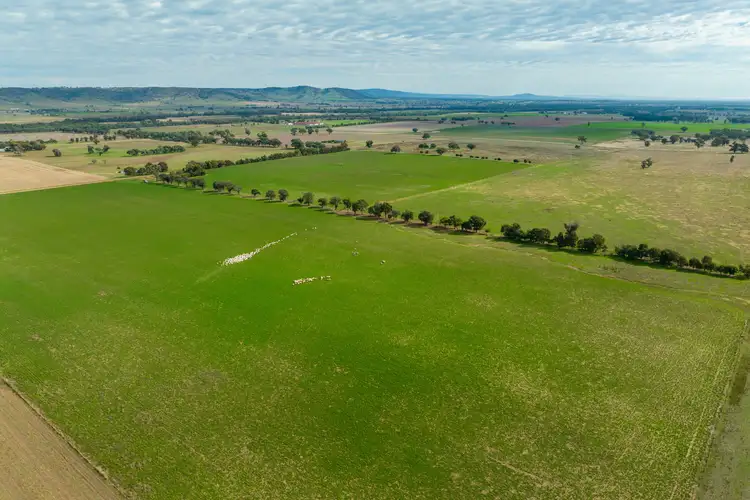 Fourth view of Homely rural property listing, 299 Allans Road, Wattamondara NSW 2794