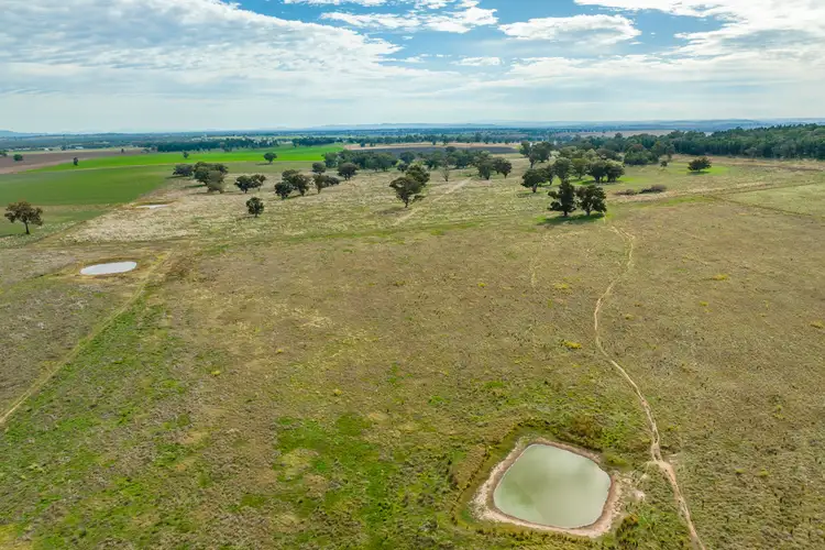 Fifth view of Homely rural property listing, 299 Allans Road, Wattamondara NSW 2794