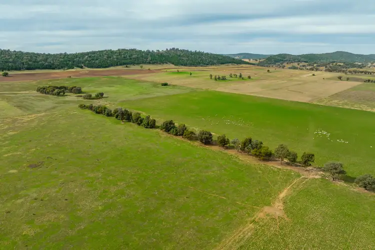 Sixth view of Homely rural property listing, 299 Allans Road, Wattamondara NSW 2794
