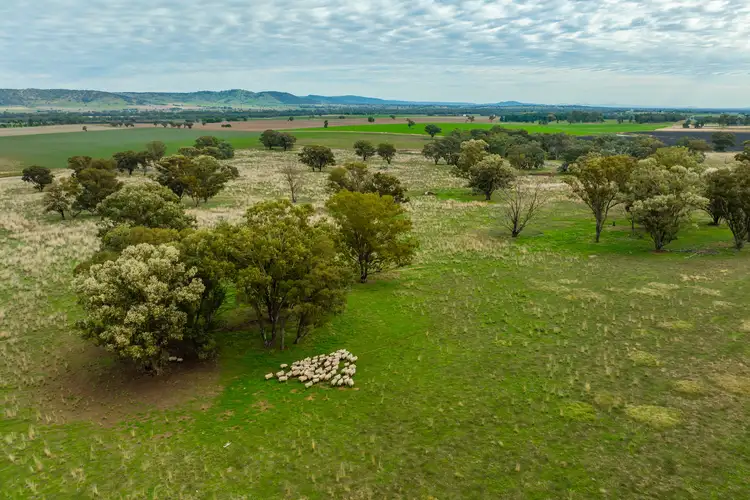 Seventh view of Homely rural property listing, 299 Allans Road, Wattamondara NSW 2794