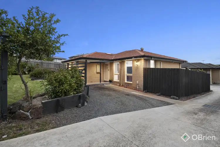 Main view of Homely house listing, 14 Castlecrag Close, Endeavour Hills VIC 3802