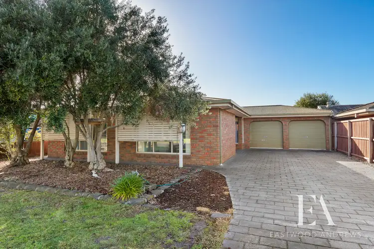 Main view of Homely house listing, 24 Rowe Street, Hamlyn Heights VIC 3215