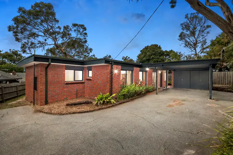 Main view of Homely house listing, 113 Elizabeth Drive, Rosebud VIC 3939