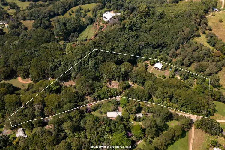 Second view of Homely house listing, 273 Crabbes Creek Road, Crabbes Creek NSW 2483