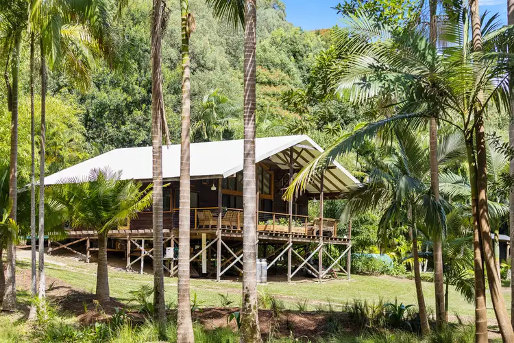 Third view of Homely house listing, 273 Crabbes Creek Road, Crabbes Creek NSW 2483