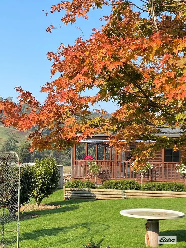 388 Camena Road, Natone TAS 7321