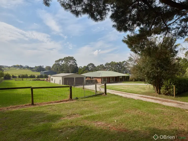 Second view of Homely house listing, 21 Dyall Road, Drouin VIC 3818