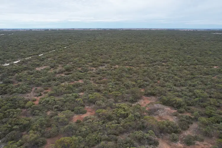 Second view of Homely rural property listing, Lot 11 Peter Road, Sherlock SA 5301