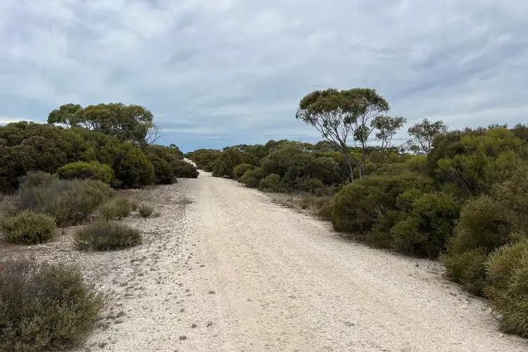 Seventh view of Homely rural property listing, Lot 11 Peter Road, Sherlock SA 5301