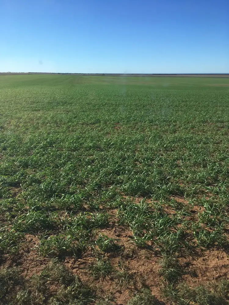Third view of Homely rural property listing, 42 Commune Road & Lot 61 Port Gibbon Road, Cowell SA 5602