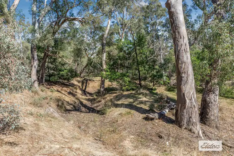 Fifth view of Homely rural property listing, 18a & Cnr Safstroms Land and Hicks Lane, Mount Camel VIC 3523