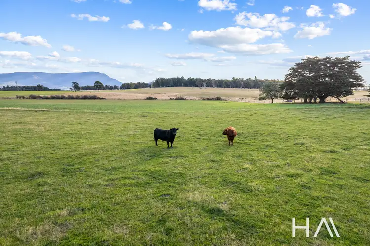 Fourth view of Homely rural property listing, 871 Elphinstone Road, Cressy TAS 7302