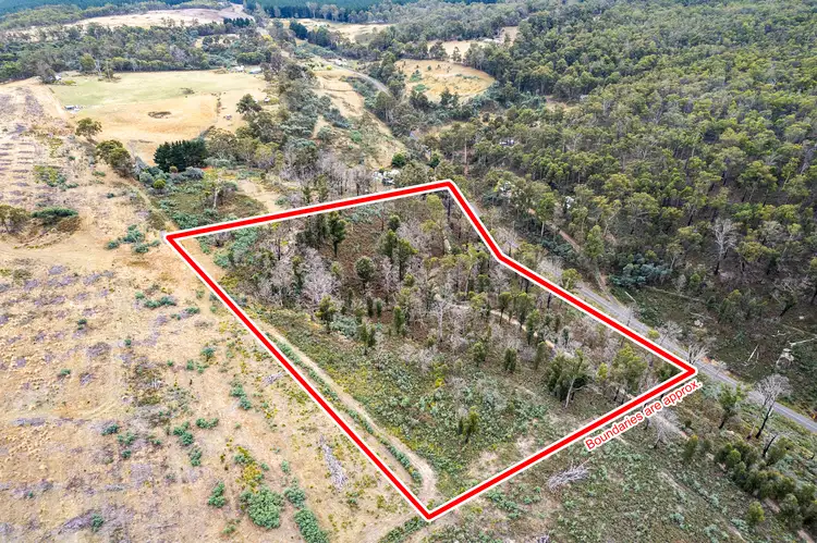 Main view of Homely land listing, 699 Pelham Road, Pelham TAS 7030