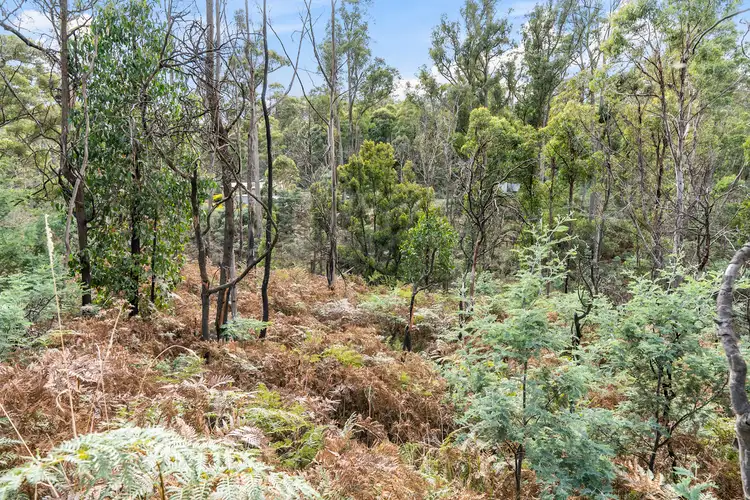 Second view of Homely land listing, 699 Pelham Road, Pelham TAS 7030