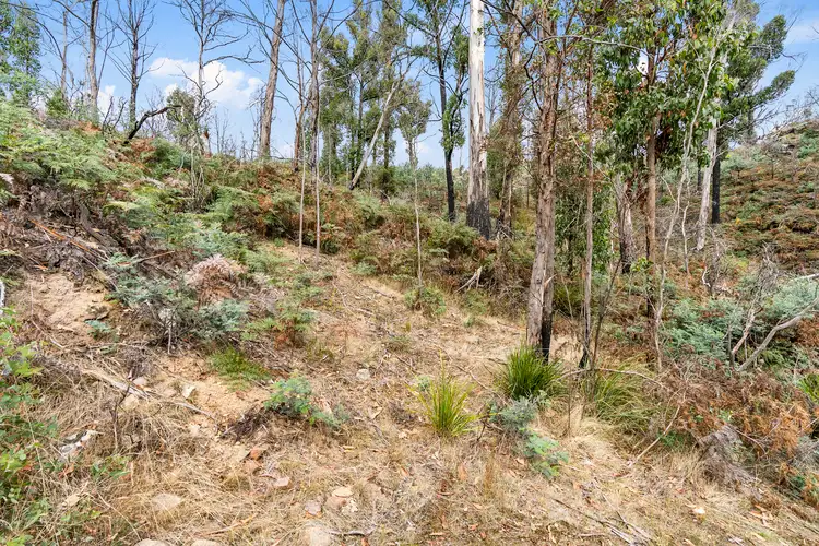 Third view of Homely land listing, 699 Pelham Road, Pelham TAS 7030