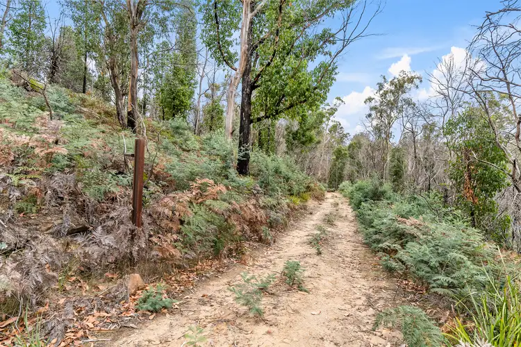 Fourth view of Homely land listing, 699 Pelham Road, Pelham TAS 7030